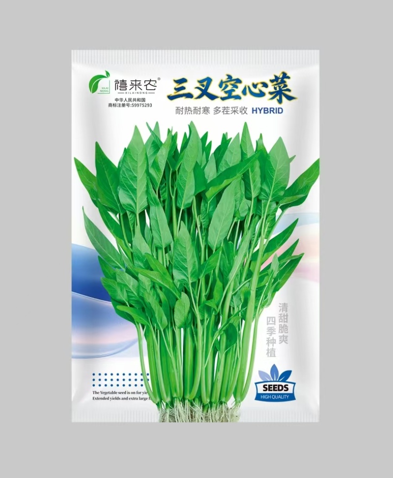 三叉空心菜种子多茬采收耐热耐寒四季种植南北方均可种植