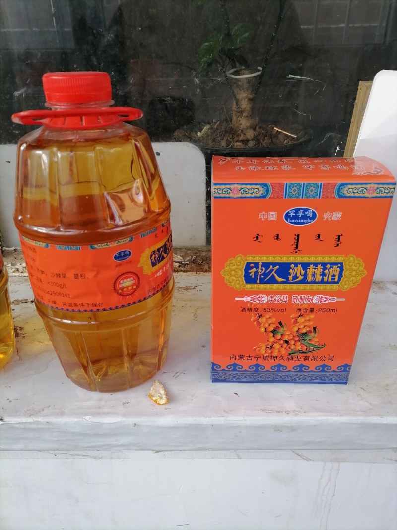 沙棘养生酒