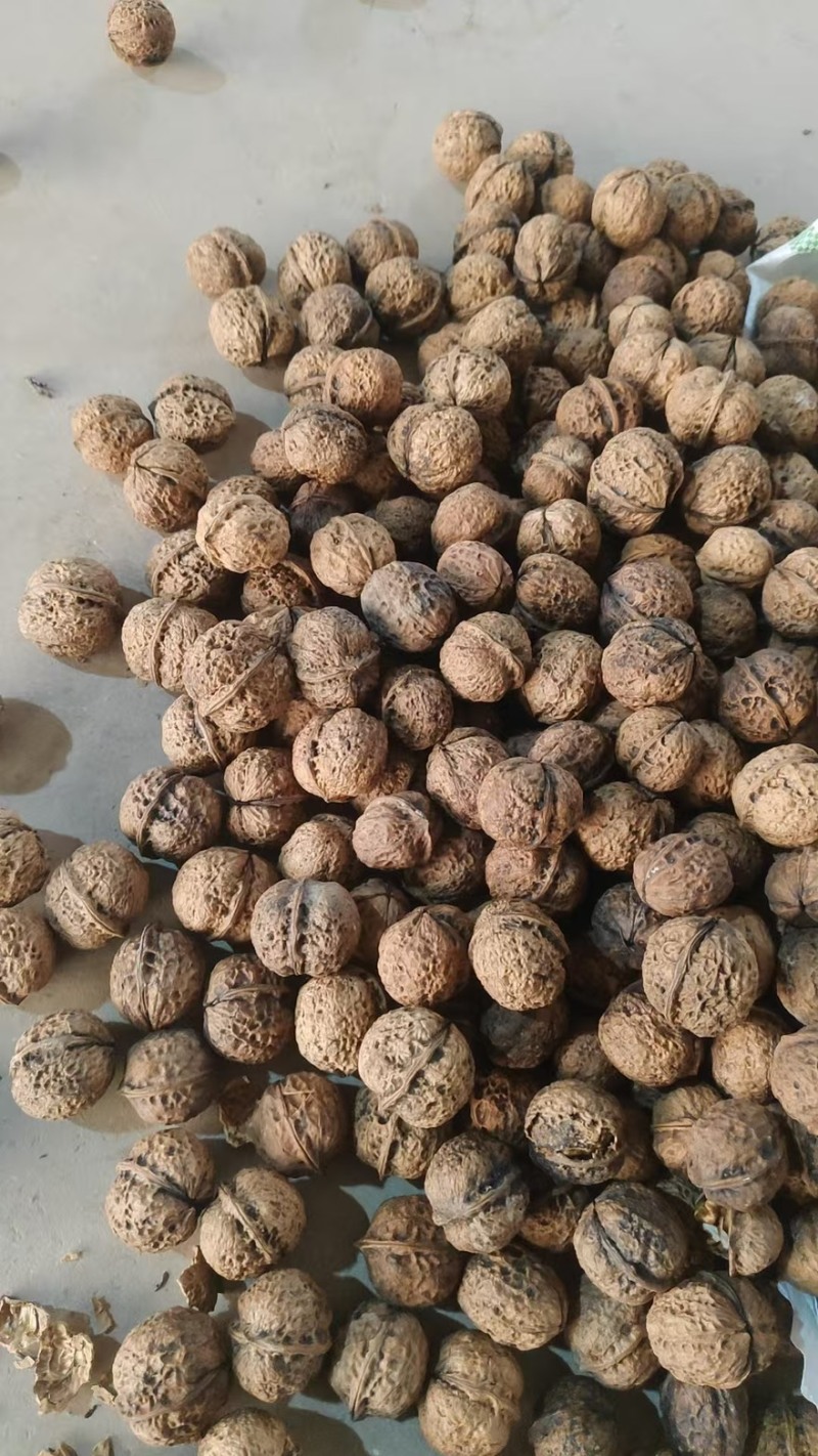 云南麻子果杂果都有烤果今年的新货