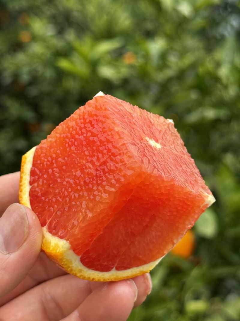 秭归红橙，中华血橙，产地直发，产地供应链