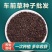 车前草种子纯新种子发芽高免费提供种植技术可回收产品