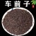 纯新车前草籽新采车前草种子发芽率高免费技术指导
