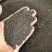 纯新车前草籽新采车前草种子发芽率高免费技术指导
