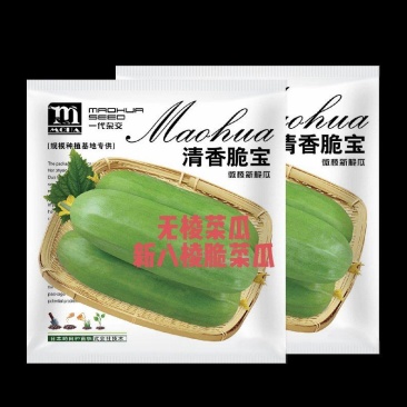 清香脆宝无棱菜瓜早熟抗病性强瓜型圆桶型连续坐果能力强