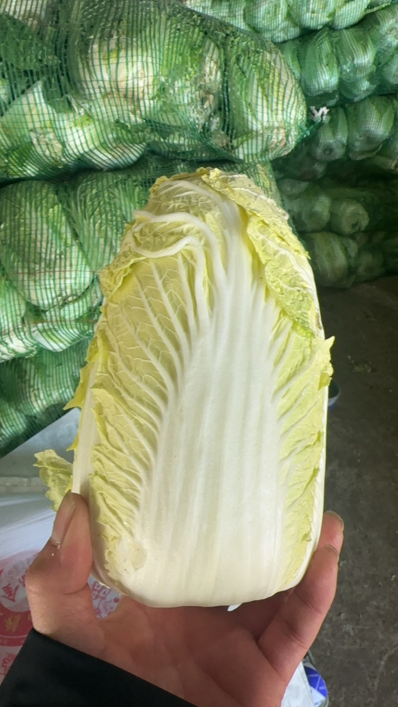 娃娃菜