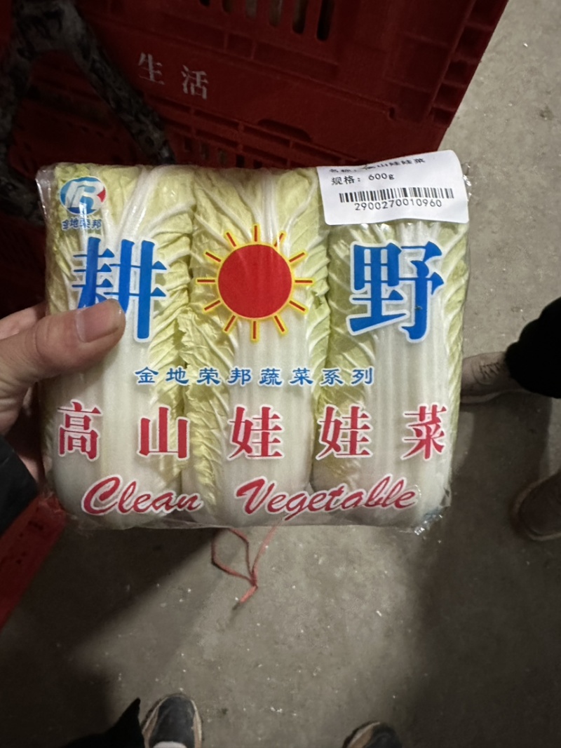 娃娃菜