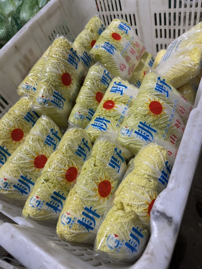 娃娃菜