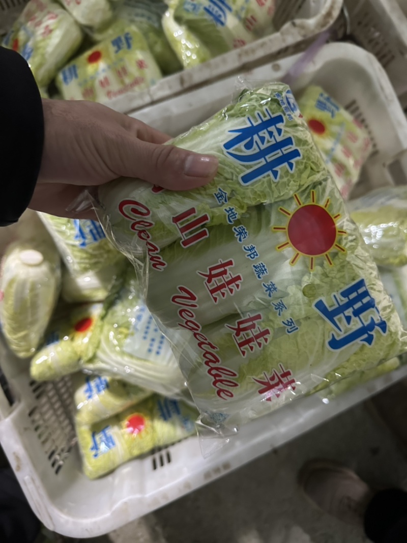 娃娃菜