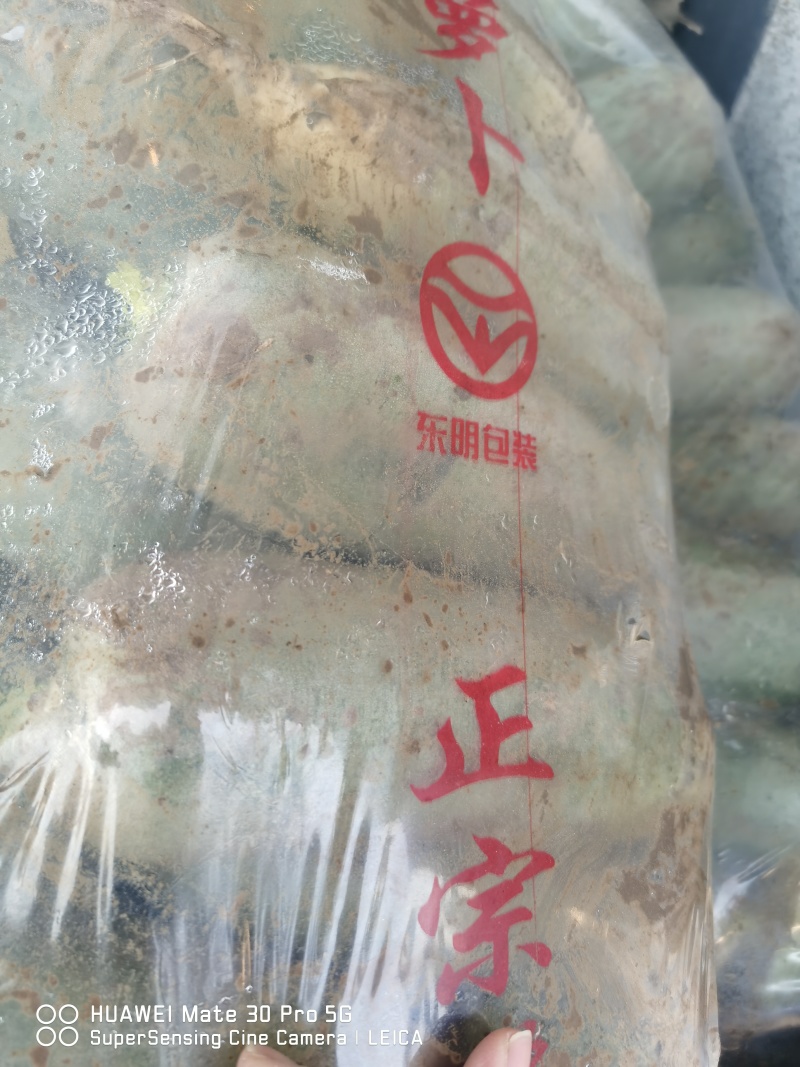 富硒萝卜，自种。