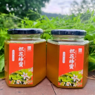 《野生蜂蜜》枳花蜂蜜/百花蜜/一年割一次/保质保量发货