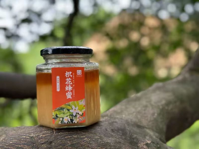 《野生蜂蜜》枳花蜂蜜/百花蜜/一年割一次/保质保量发货