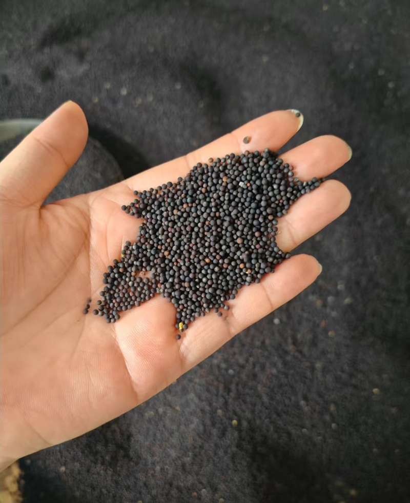 《菜籽油》自家加工/农家自己食用的油，安全放心