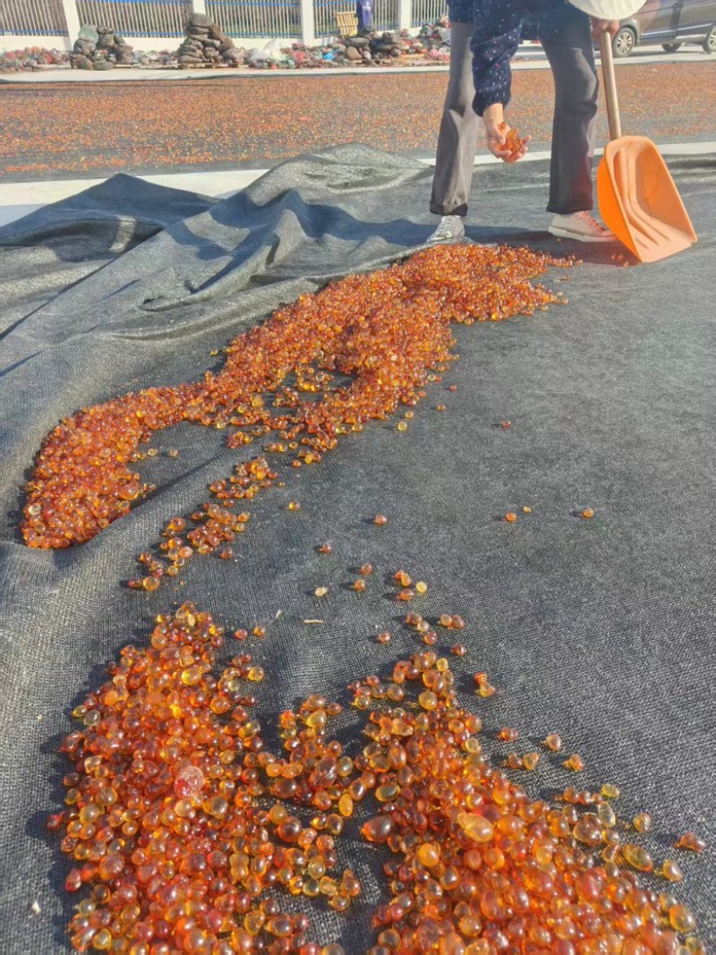 安徽六安市大别山桃胶质量有保证欢迎各位随时咨询
