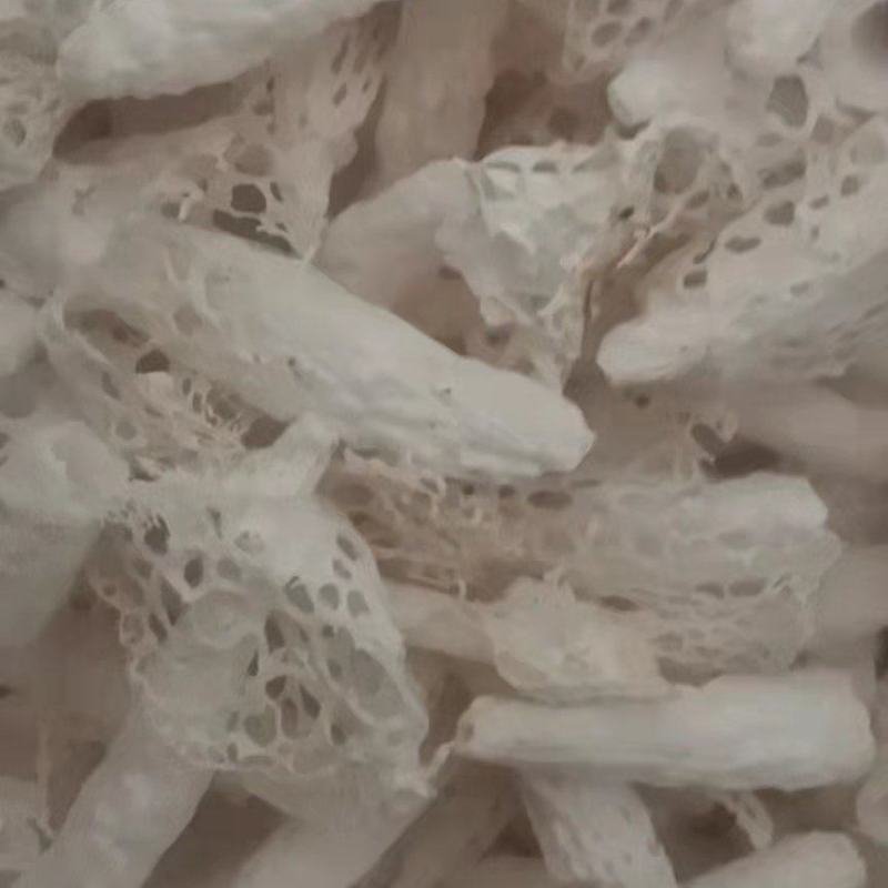 织金红托竹荪
