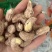紫衣腰果170大果现货