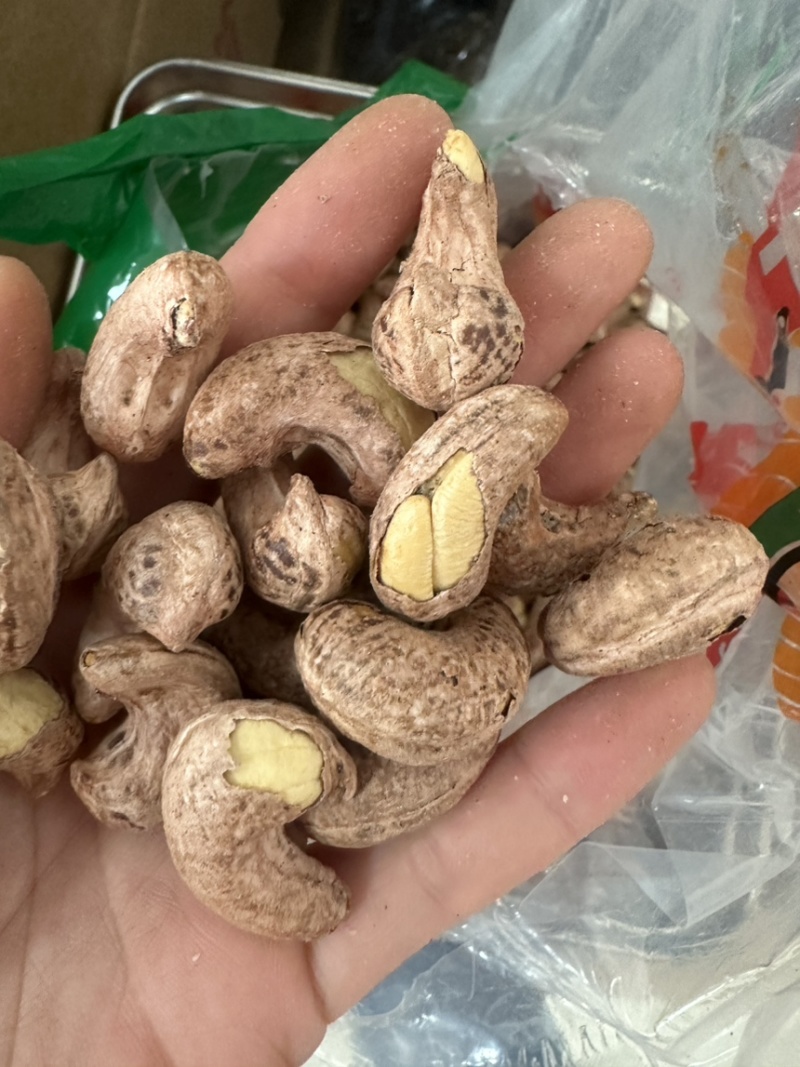 紫衣腰果170大果现货