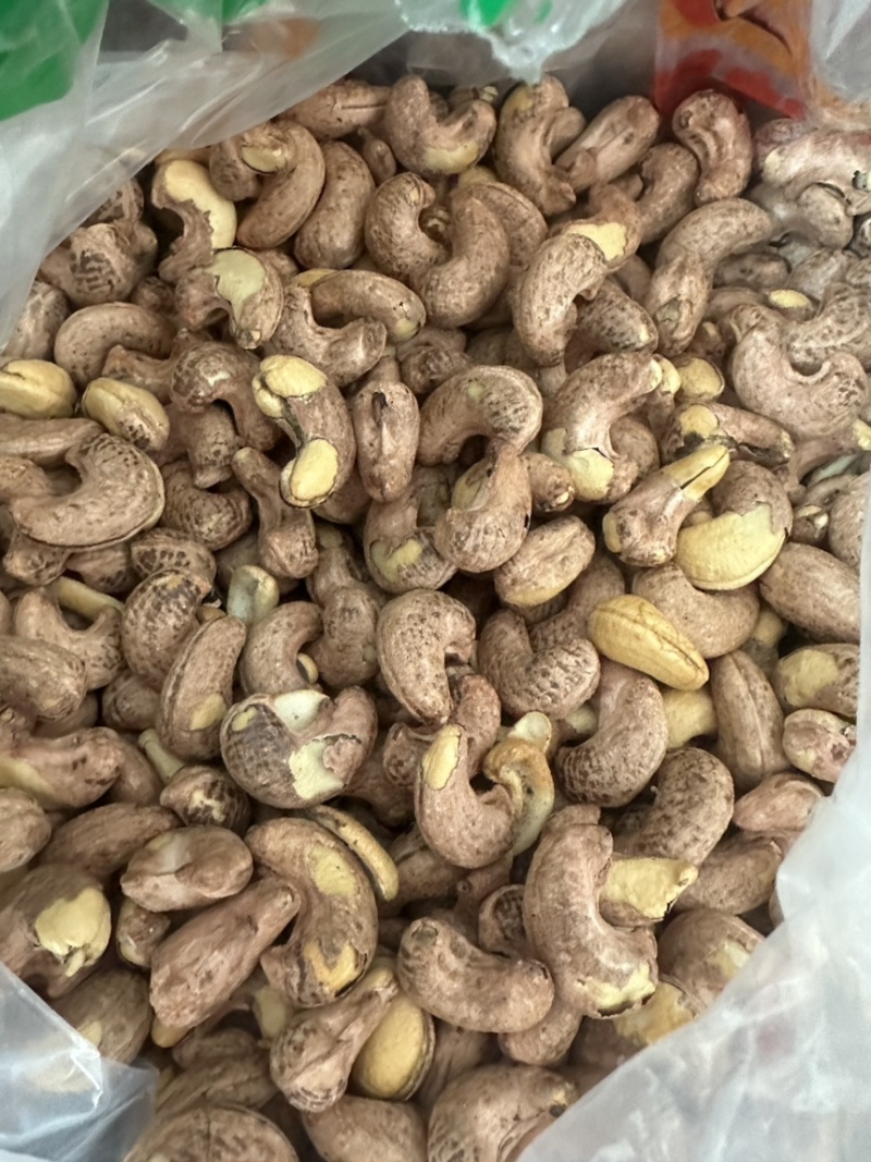 紫衣腰果170大果现货