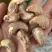 紫衣腰果170大果现货