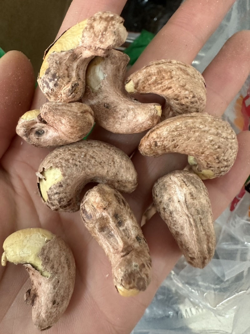 紫衣腰果170大果现货