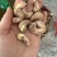 紫衣腰果170大果现货