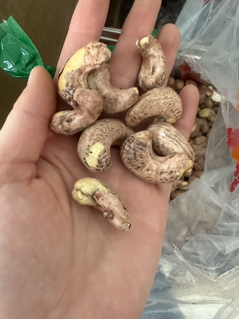 紫衣腰果170大果现货