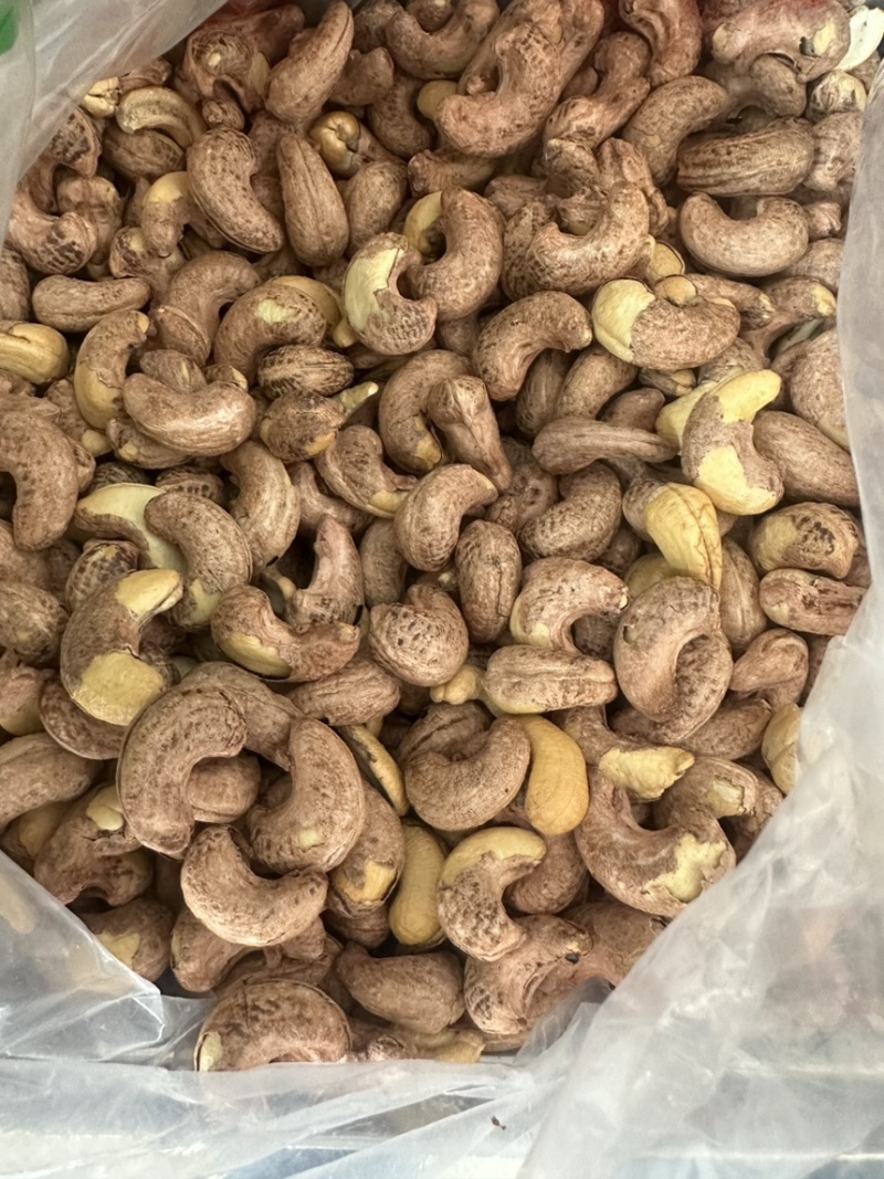 紫衣腰果170大果现货