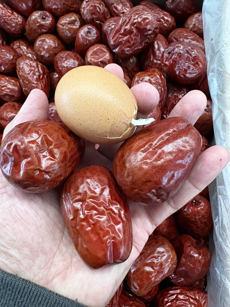 新货新疆和田大枣特大红枣骏枣孕妇零食干果量大优惠一件代发