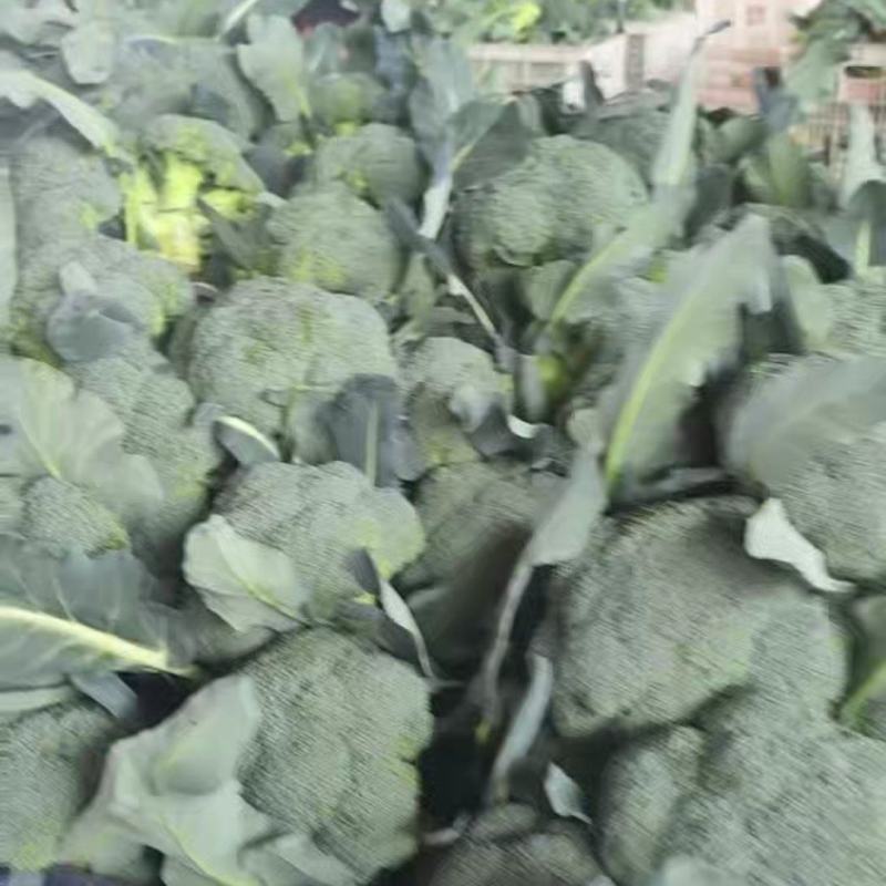 西蓝花