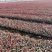 欢迎质询