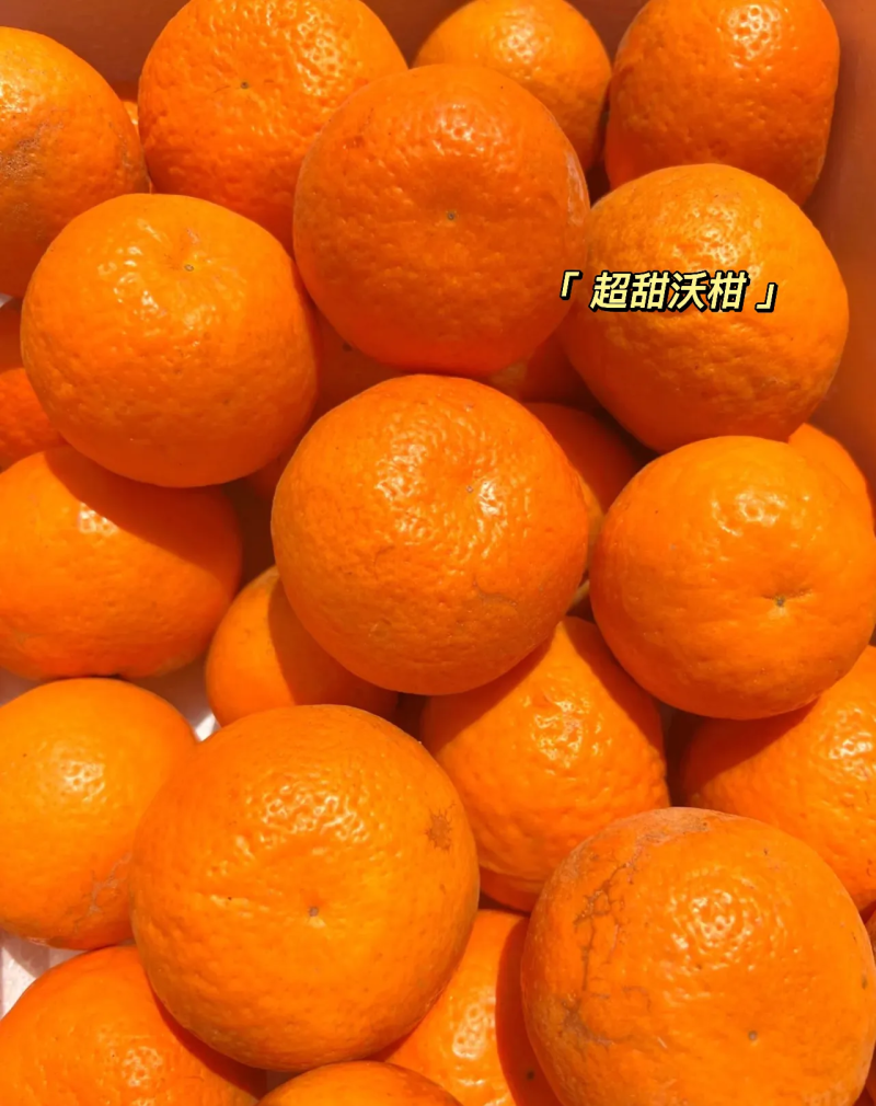 沃柑，永春芦柑。V看图一自家果园量大
