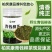 正牌青钱柳原叶颗粒茶正品罐装青钱柳金钱柳中药材茶叶