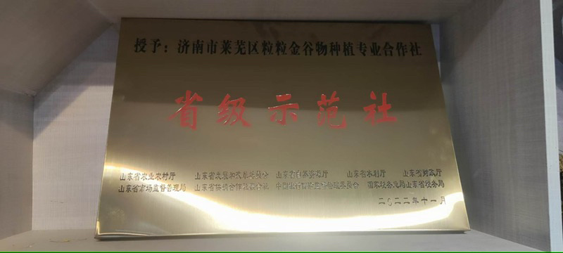 莱芜黄小米，富硒小米大量供应，一手货源，支持零售批发