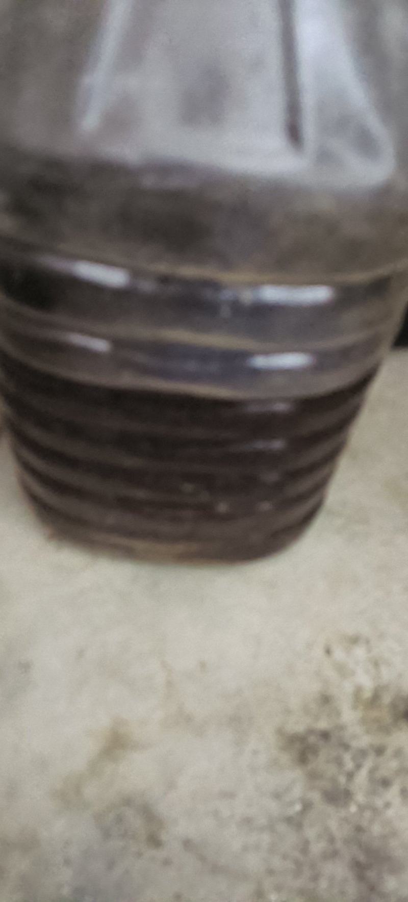 岳阳山茶油