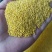 山东莱芜黄小米大量有货量大从优支持零售批发