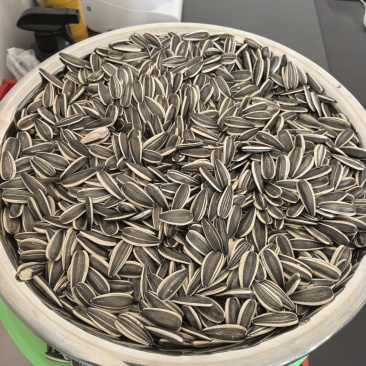 新疆食葵货源充足！欢迎你们联系