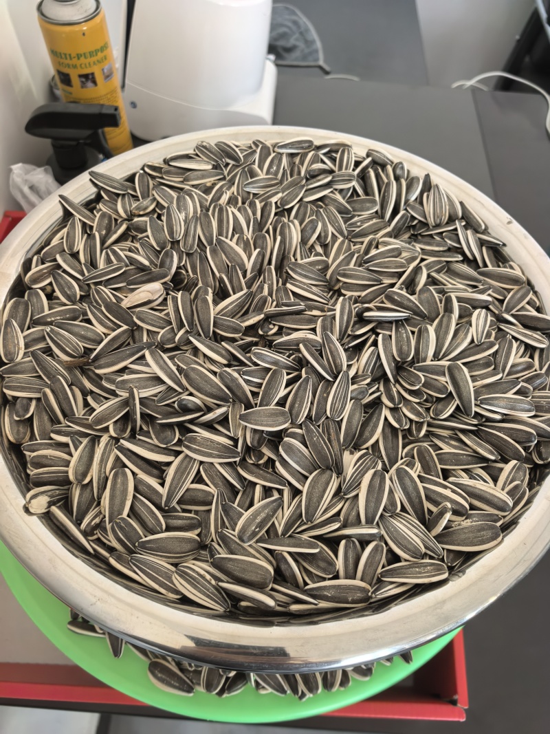 新疆食葵货源充足！欢迎你们联系