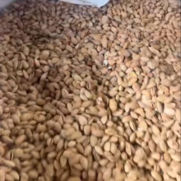 坚果干果坚果源头工厂直销性价比巴旦木大量现货