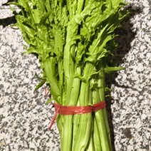 青菜苔