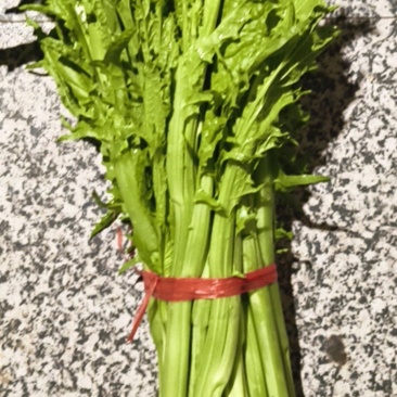 青菜苔