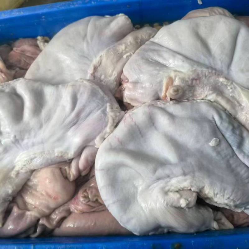 14一16个纯干修油猪肚