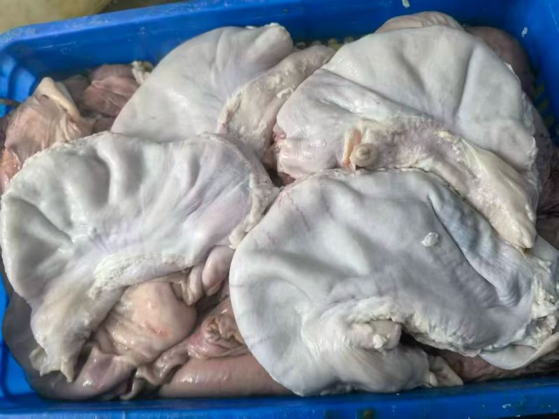 14一16个纯干修油猪肚