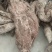 野生葛根粉