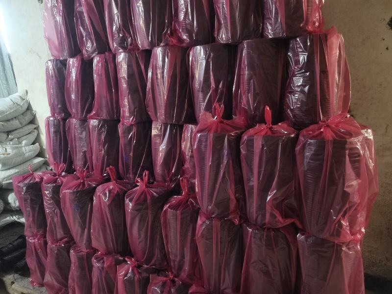潍坊迷宫滴灌带12进5出，1000米。小间距大流量。带纸