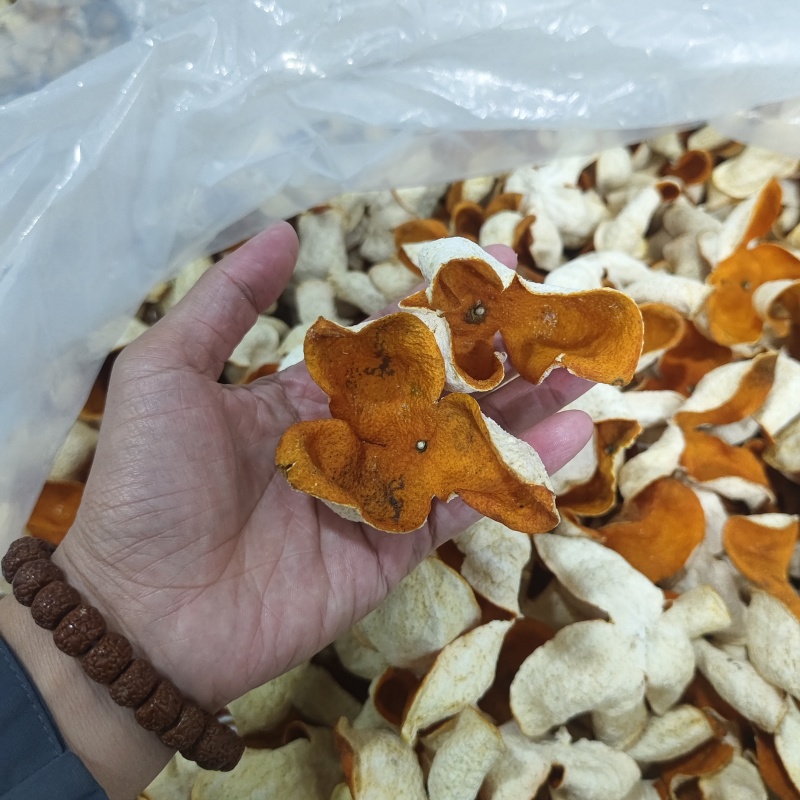 广西陈茶枝柑大红皮