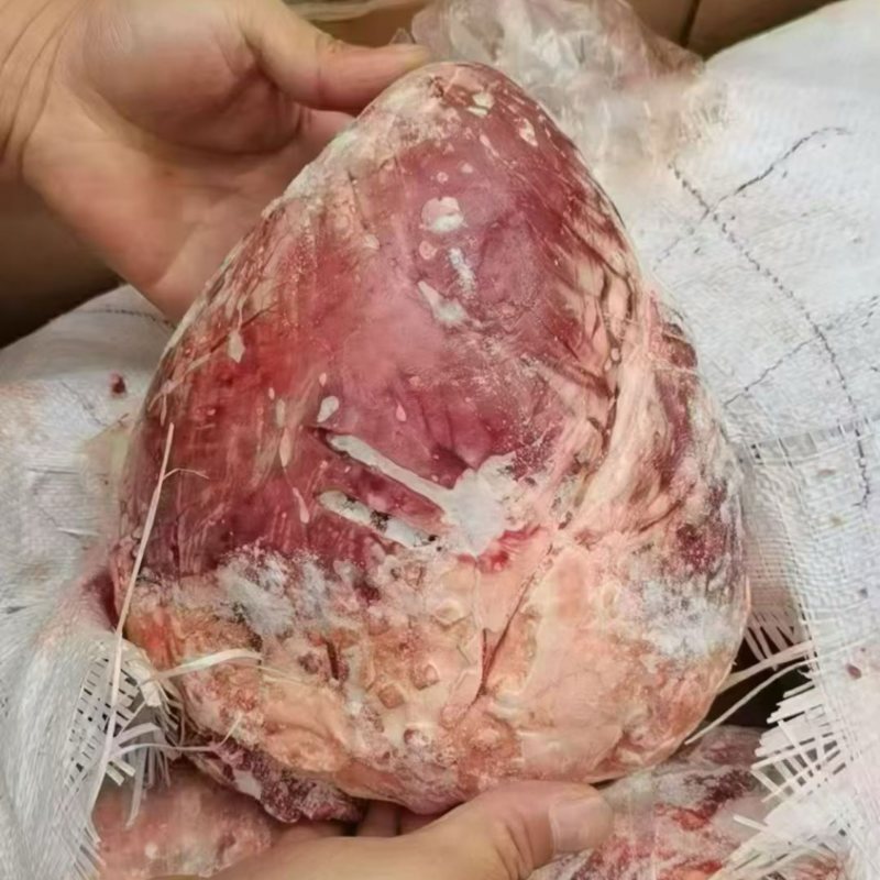牛心