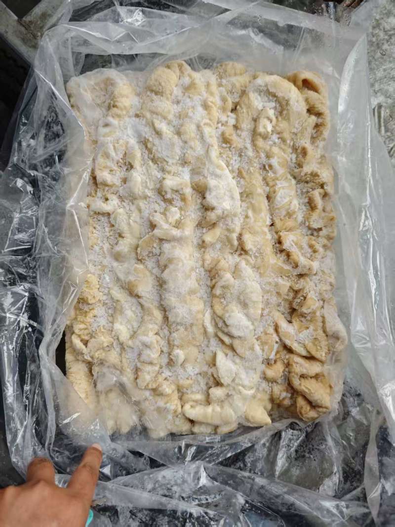 纯干次一级大肠