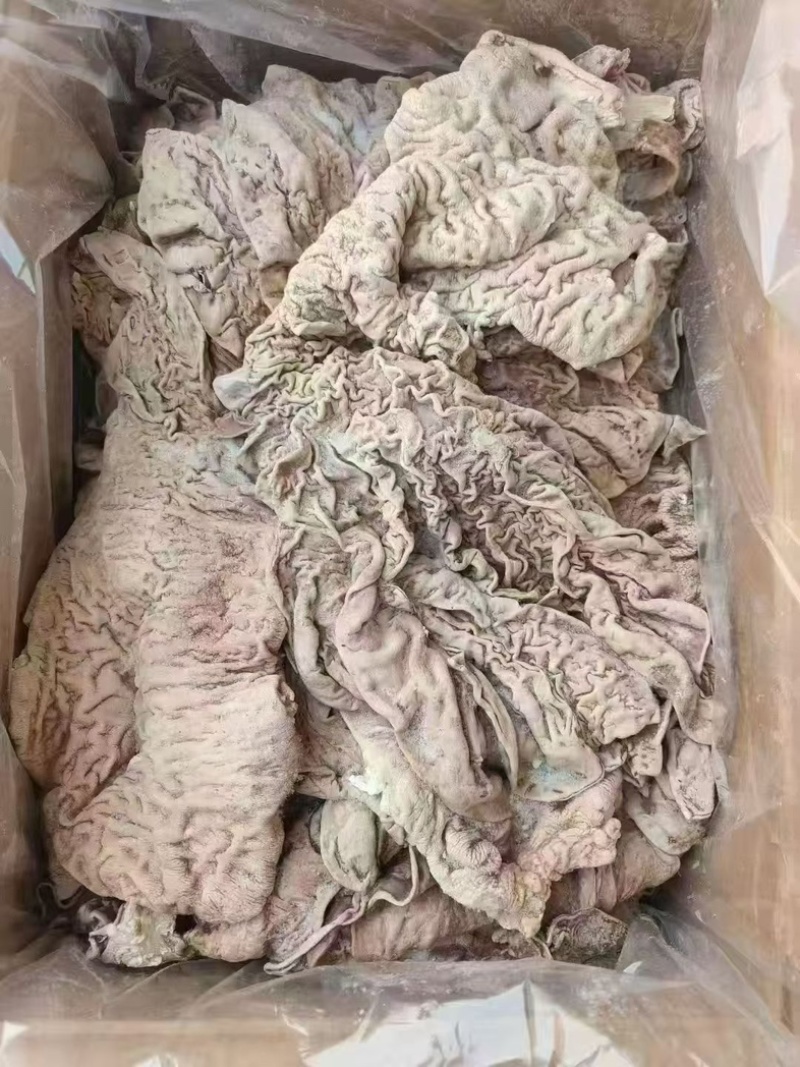 牛散带