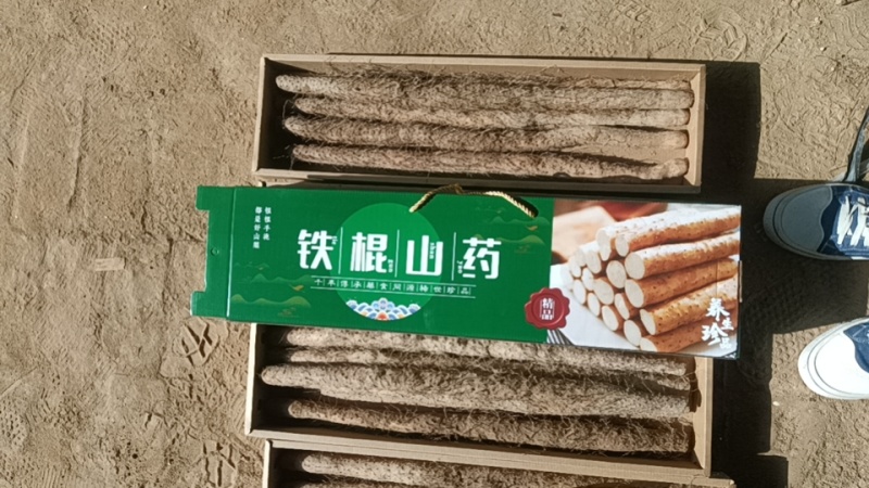 铁棍山药