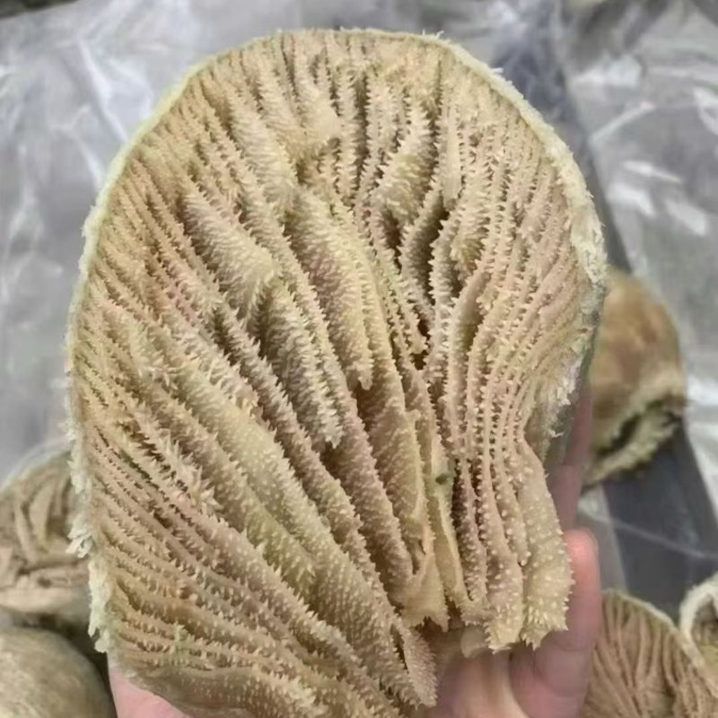 牛百叶