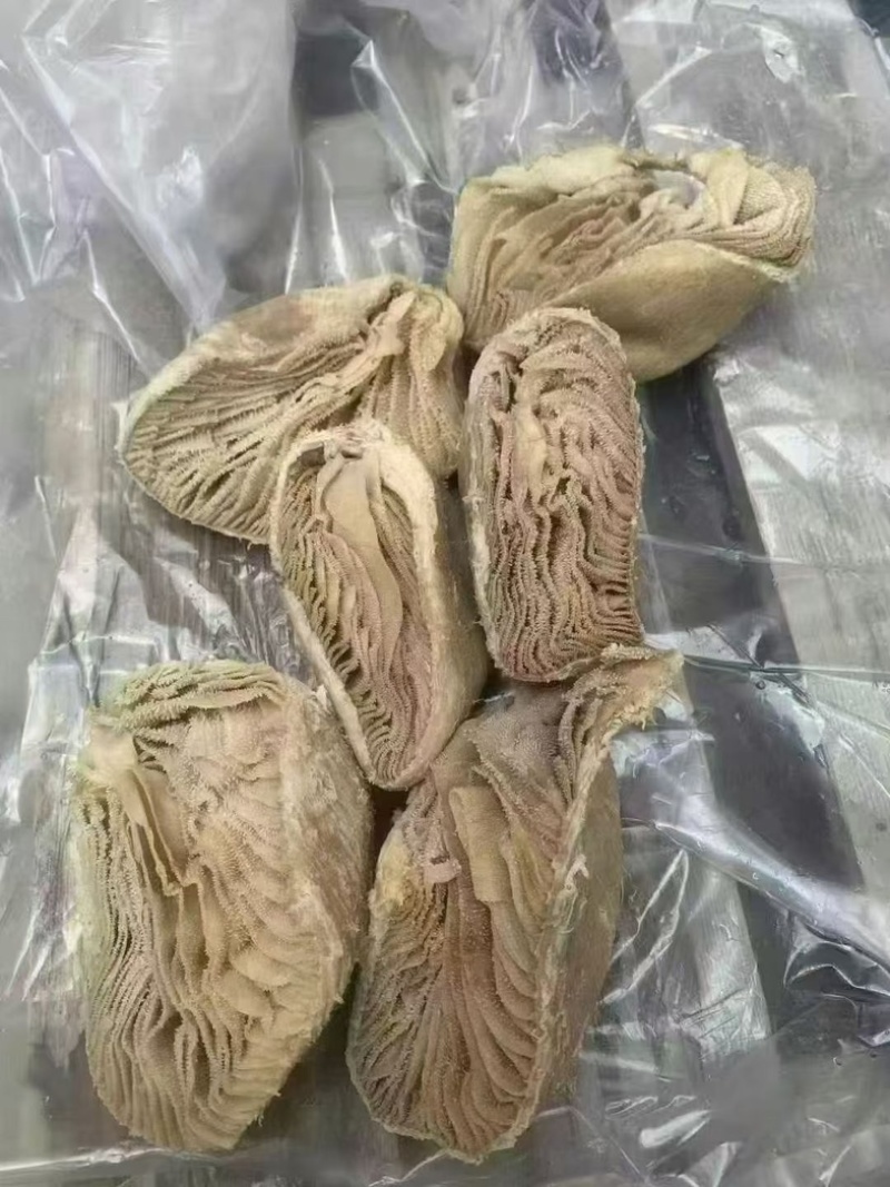 牛百叶
